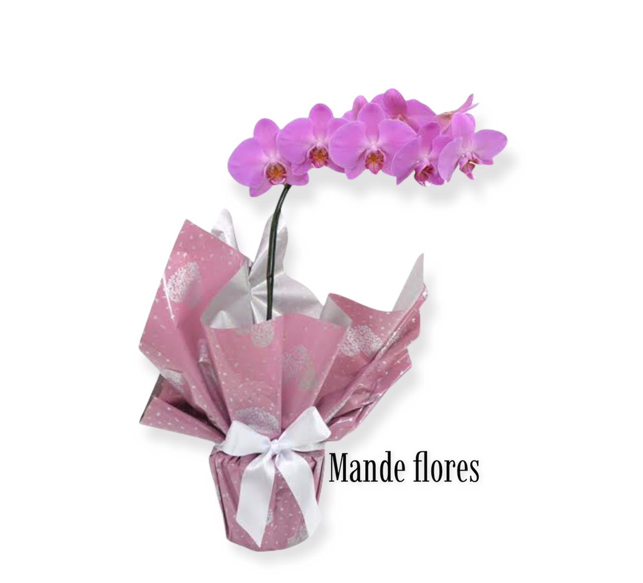 Orquídea decorada